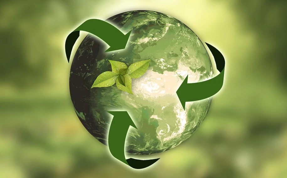 2 Ways To Completely Ruin An Environmentally Friendly Label
